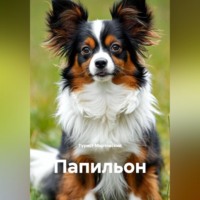 Турист Мартовский. Папильон