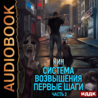Кин. Система Возвышения. Книга 2. Первые шаги. Часть 2
