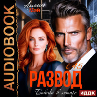 . Бабочка в янтаре. Развод в 45