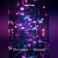. Петушки — Москва