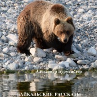 Александр Александрович Бурмейстер. Байкальские рассказы