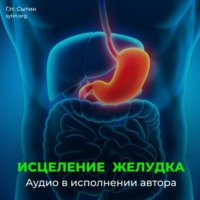 Георгий Сытин. Исцеление омоложение желудка кишечника