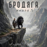 Андрей Первухин. Бродяга Книга пятая