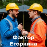 . Фактор Егоркина