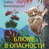 . Блюме в опасности