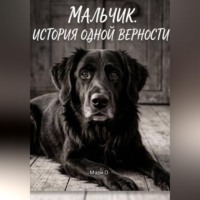Мари О. Мальчик. История одной верности