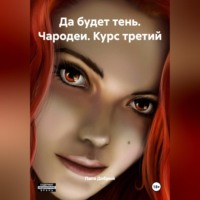 . Да будет тень. Чародеи. Курс третий