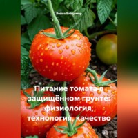 Война Владимир. Питание томата в защищённом грунте: физиология, технология, качество