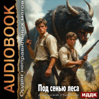 Алексей Владимирович Пинчук. Орден неправильных магов. Книга 5. Под сенью леса