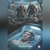 Владимир Снежкин. Слисс 1. Погружение