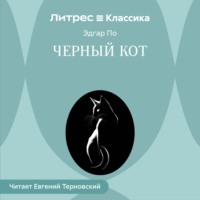 . Черный Кот