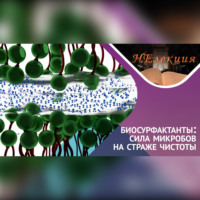 Александр Гордеев. Биосурфактанты, что это за «ЗВЕРЬ»?