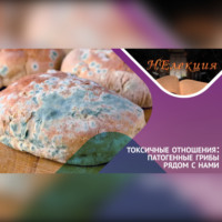 Александр Гордеев. ТОКСИЧНЫЕ ОТНОШЕНИЯ… с грибами