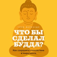 . Что бы сделал Будда? Как сохранять спокойствие в мире хаоса