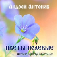 Андрей Антонов. Цветы полевые
