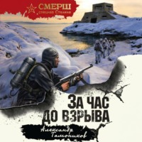 Александр Тамоников. За час до взрыва