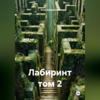 Анна Сергеевна Шайдурова. Лабиринт том 2