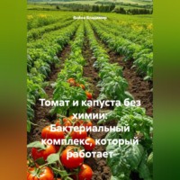 Война Владимир. Томат и капуста без химии: Бактериальный комплекс, который работает