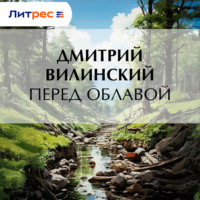 Дмитрий Вилинский. Перед облавой