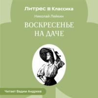 Николай Лейкин. Воскресенье на даче. Рассказы и картинки с натуры