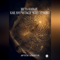 . МЕТА-НАВЫК КАК НАУЧИТЬСЯ ЧЕМУ УГОДНО