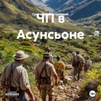 Григорий Александрович Быстрицкий. ЧП в Асунсьоне