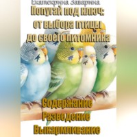 Екатерина Заварина. Попугай под ключ: от выбора птицы до своего питомника.