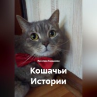 . Кошачьи Истории