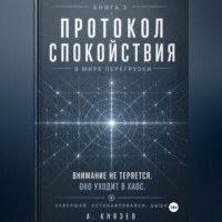 Александр Князев. Протокол спокойствия в мире перегрузки