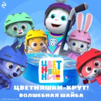 . Цветняшки-Крут. Волшебная шайба