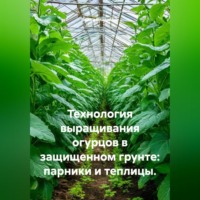 Война Владимир. Технология выращивания огурцов в защищенном грунте: парники и теплицы.