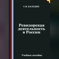 . Ревизорская деятельность в России
