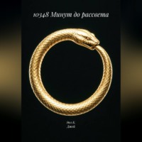 Сергей Числин. 10348 Минут до рассвета