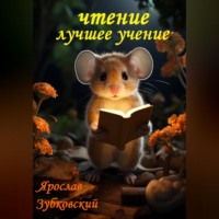 Ярослав Николаевич Зубковский. Чтение лучшее учение