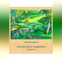 Максим Сергеевич Макаров. Сосногорск недалеко
