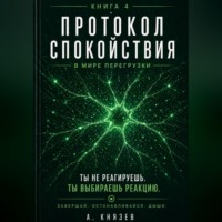 Александр Князев. Протокол спокойствия в мире перегрузки