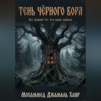 . Тень Чёрного Бора