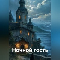. Ночной гость