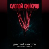 Дмитрий Сыч. Слепой Синхрон