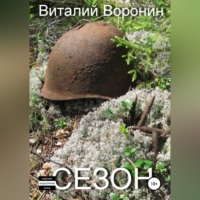 Виталий Викторович Воронин. Сезон