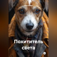 Петр Сойфер. Похититель света