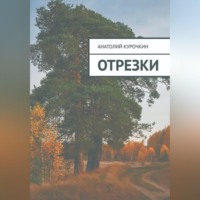 Анатолий Курочкин. Отрезки