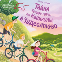 Ирина Гурина. Тайна Черной горы, или Каникулы в Чудесатово