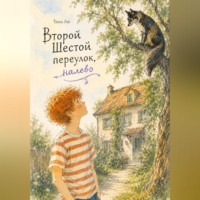 . Второй шестой переулок, налево
