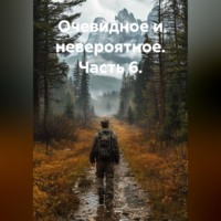Зерк И.. Очевидное и невероятное. Часть 6.
