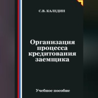 Сергей Каледин. Организация процесса кредитования заемщика