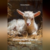 Наталья Ивушка. Шепчущие улицы Мексики