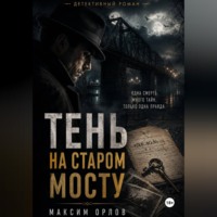 Семён Брагин. Тень на старом мосту