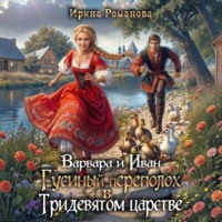 Ирина Романова. Варвара и Иван. Гусиный переполох в Тридевятом царстве