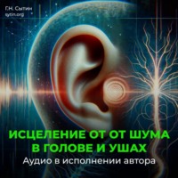 Георгий Сытин. Настрой от шума в голове и ушах
